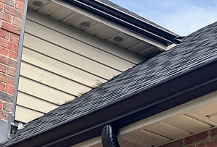 Black gutter and downspout beneath a gray shingle roof beside cream siding